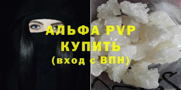 СК Вязьма