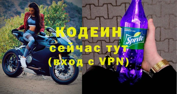 СК Вязьма
