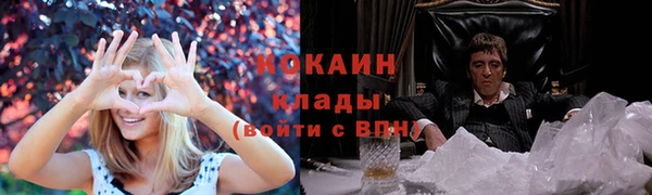 гидра Вязники