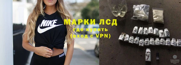 СК Вязьма