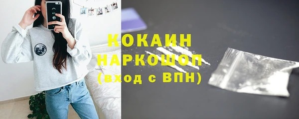 сатива Горнозаводск