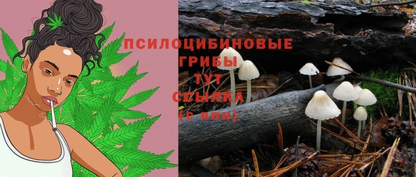 СК Вязьма