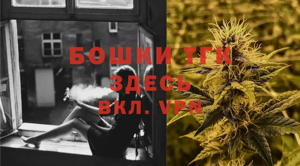 СК Вязьма
