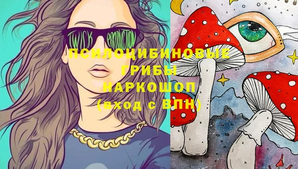 гидра Вязники