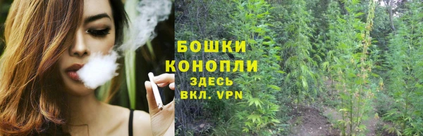гидра Вязники