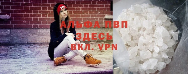 гидра Вязники