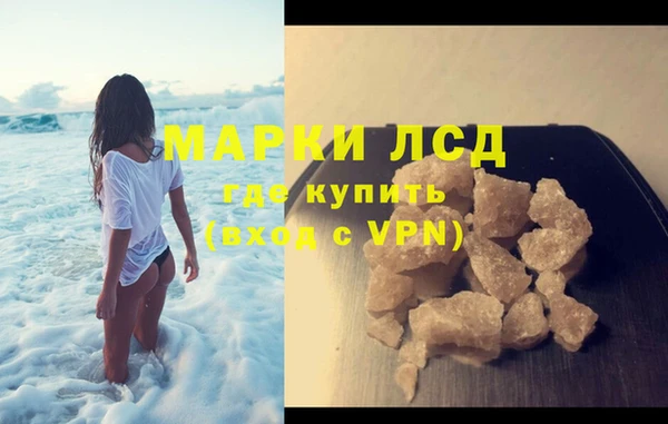 СК Вязьма